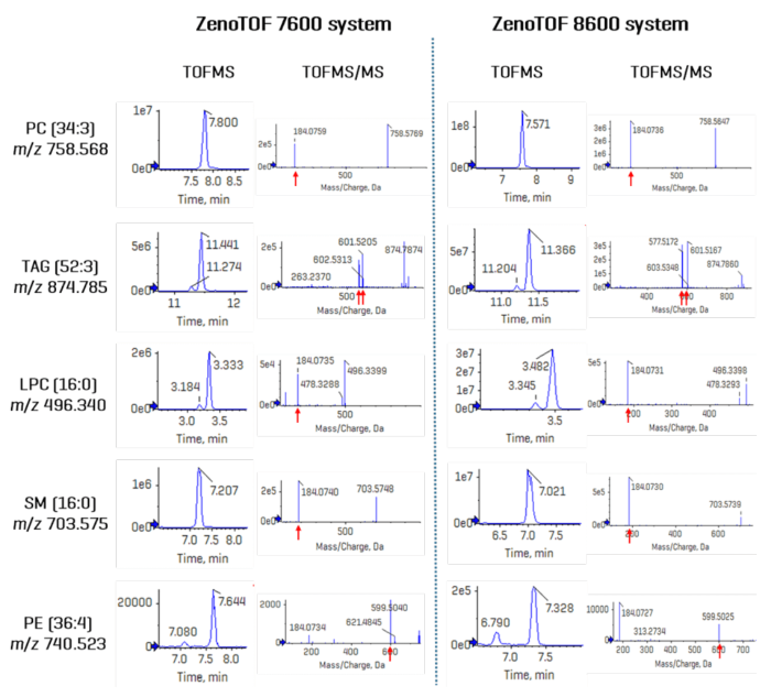 Comparison of DDA data acquired on the ZenoTOF 7600 and 8600 systems. Five compounds were selected across different lipid classes to show the XIC intensities and the associated TOF MS/MS spectra. Indicated by red arrows, diagnostic fragment ions for each lipid are shown in each product ion spectrum. Because these data were acquired in the positive ion mode, polar lipids were only identified at the sum-composition level; TAG 52:3 can be speciated at the fatty acid level in this ionization mode. Overall, TOFMS XIC peak intensities for every compound were increased significantly (~10-fold) using the ZenoTOF 8600 system