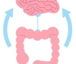 Navigating IBS: Causes, impact and diagnosis