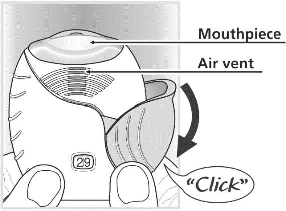 image1.png