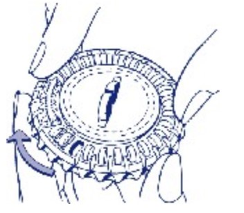 image3.jpeg