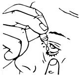 image3.png