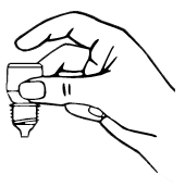 image1.png