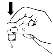 image2.png