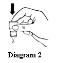 image2.jpg