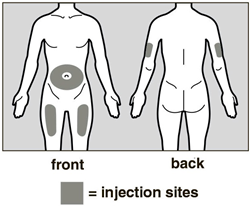 image3.png