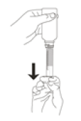 image 3.png