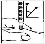 image5.png