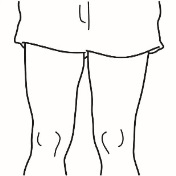 619022.jpeg