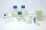 PhysioMimix® Compatible NASH-in-a-box