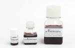 40nm colloidal gold nanoparticles for passive adsorption