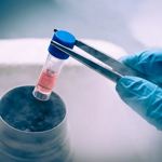 In vitro retinal disease modeling for retinal therapy