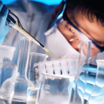 Retinal organoids and RPE models for retinal gene therapy development