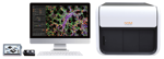 Live animal IVM system