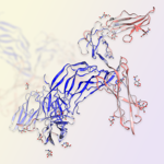 PDGF-BB protein