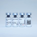 TGF-Beta 1/TGFB1 protein
