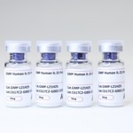 GMP-compliant human IL-21 protein