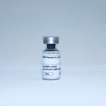 High-quality GMP human IL-12 protein
