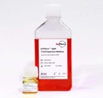 Support human T cell culture with the CelThera™ GMP T Cell Expansion Medium