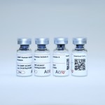 GMP-grade human activin A / INHBA protein for therapeutic use