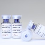 Recombinant Human 4-1BB Ligand Protein with Fc Tag (GMP Grade)