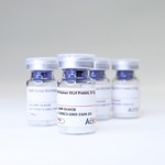 GMP-grade human DLL4 protein