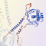 GMP-grade human Flt-3 ligand protein