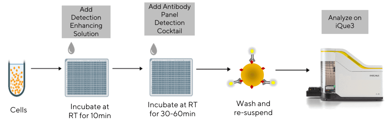 iQue® Immune Cell-based kits for immunophenotyping and function