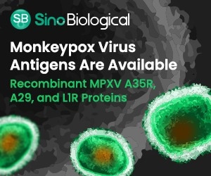 Recombinant monkeypox antigens for R&D