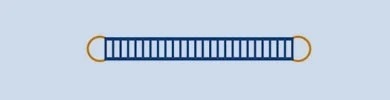 CRISPR Homology-Directed Repair (HDR) knock-in templates