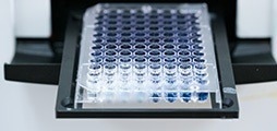 A novel rabbit MonoRab technology