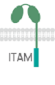 Potentiated CD16 activated ADCC CAR-NK cells
