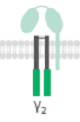 Potentiated CD16 activated ADCC CAR-NK cells