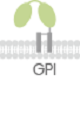 Potentiated CD16 activated ADCC CAR-NK cells