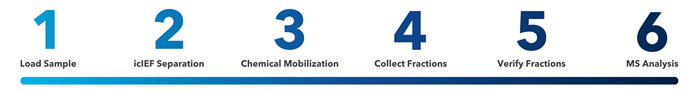 MauriceFlex™ for protein fractionation