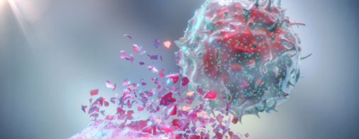 Quantify proteins far lower than the Level of Quantification (LoQ) of conventional analog immunoassays.