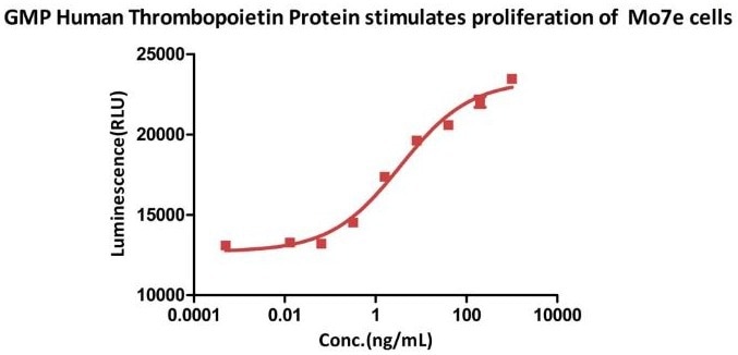 Thrombopoietin protein