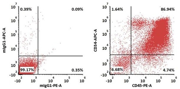 Thrombopoietin protein