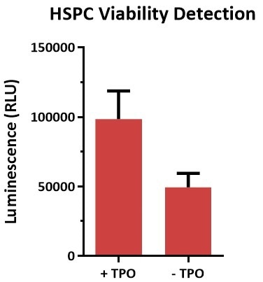 Thrombopoietin protein