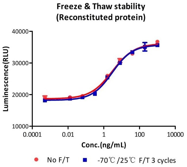 Thrombopoietin protein