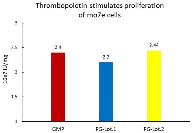 Thrombopoietin protein
