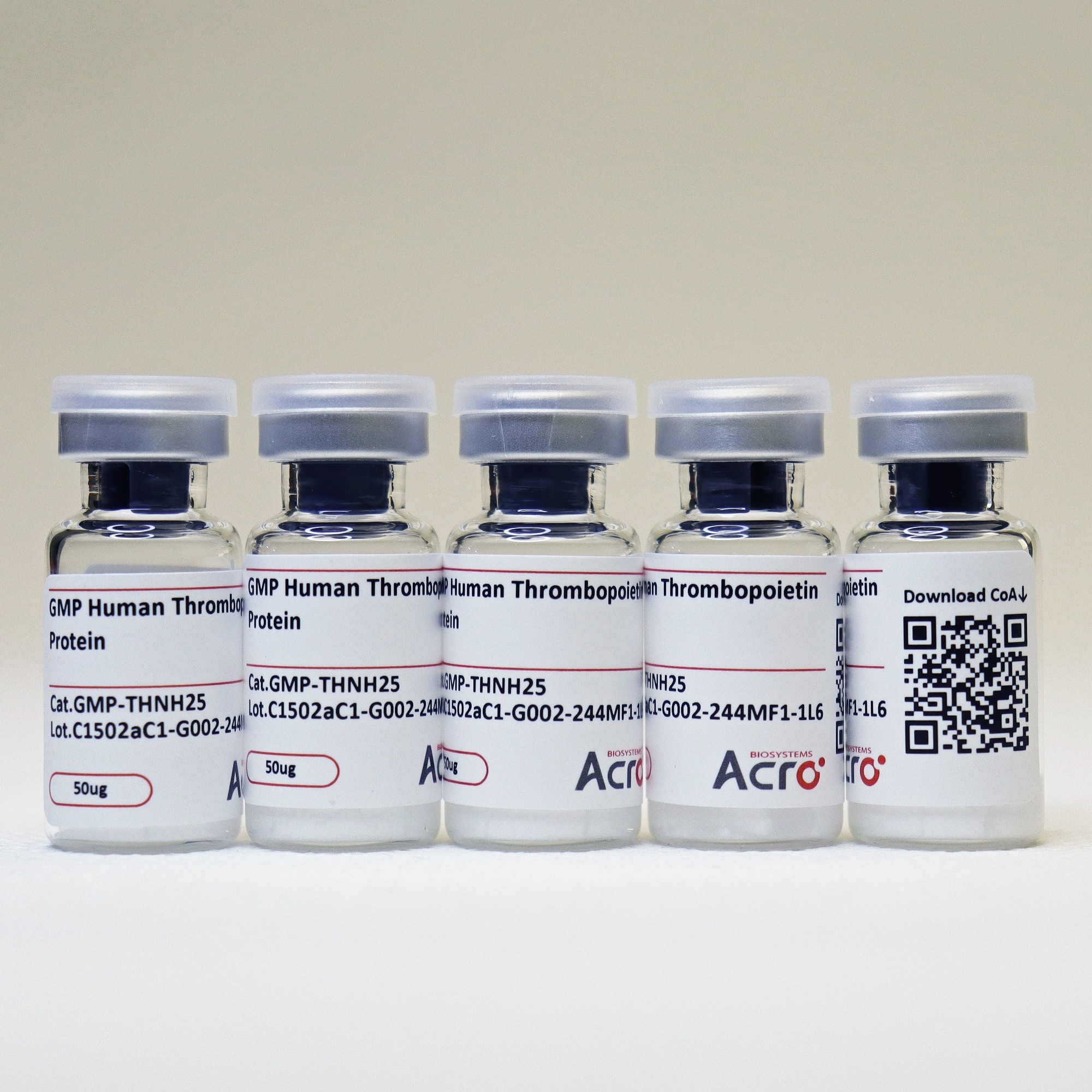Thrombopoietin protein