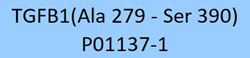TGF-Beta 1/TGFB1 protein