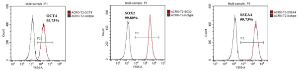 TGF-Beta 1/TGFB1 protein