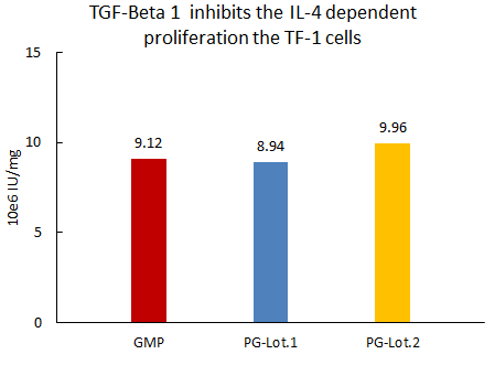 TGF-Beta 1/TGFB1 protein