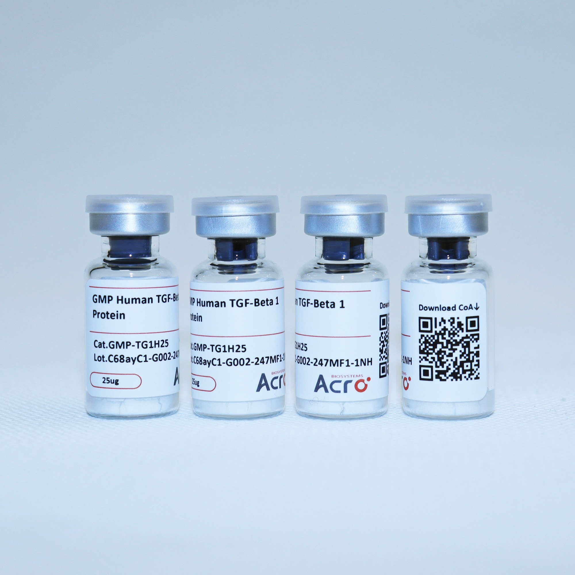 TGF-Beta 1/TGFB1 protein