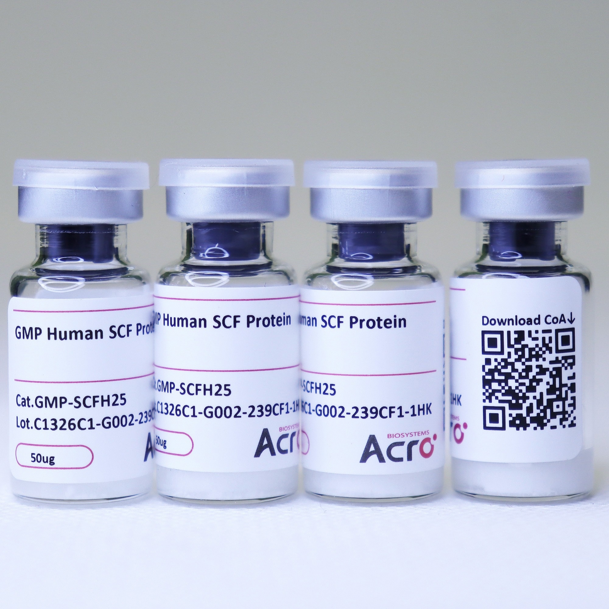 GMP compliant SCF protein