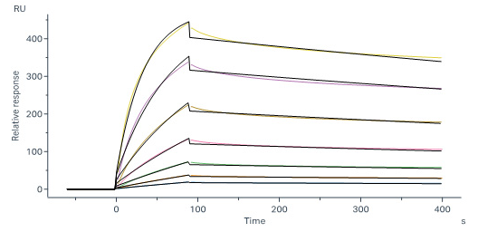 Human VCAM-1 proteins