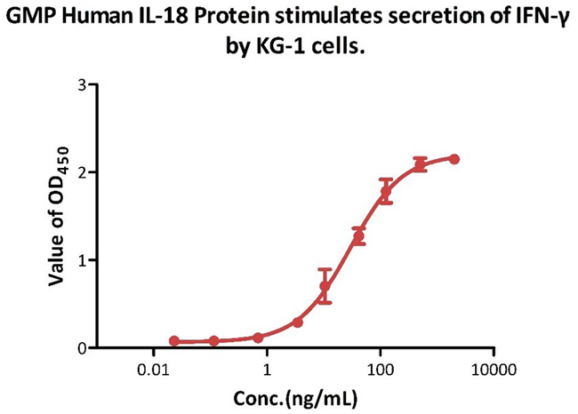 GMP-certified recombinant human IL-18 protein