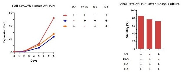 Recombinant human IL-6 protein (GMP-certified)
