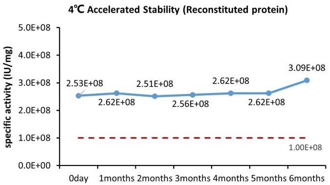 Recombinant human IL-6 protein (GMP-certified)